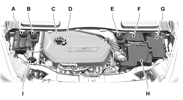 Under Hood Overview - 1.6L EcoBoost