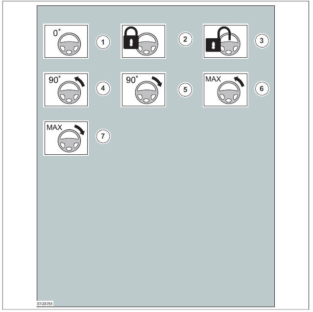 Steering Wheel Symbols