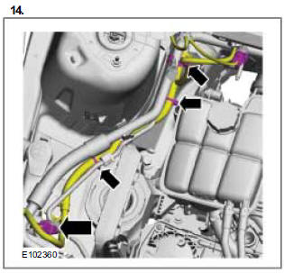 Engine Compartment Wiring Harness