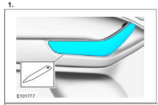 Rear Door Trim Panel