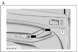 Rear Door Trim Panel