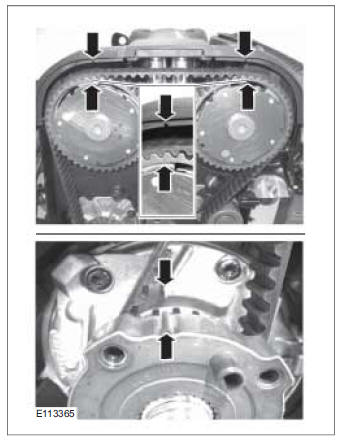 Timing Belt (21 304 0)