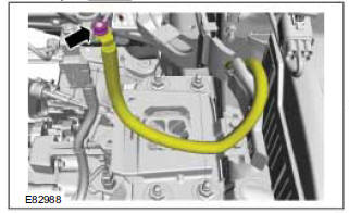 Engine Compartment Wiring Harness